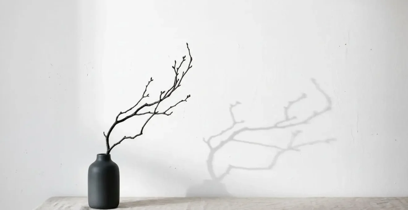 Single botanical stem positioned to interact with surrounding negative space demonstrating Japanese Ma concept