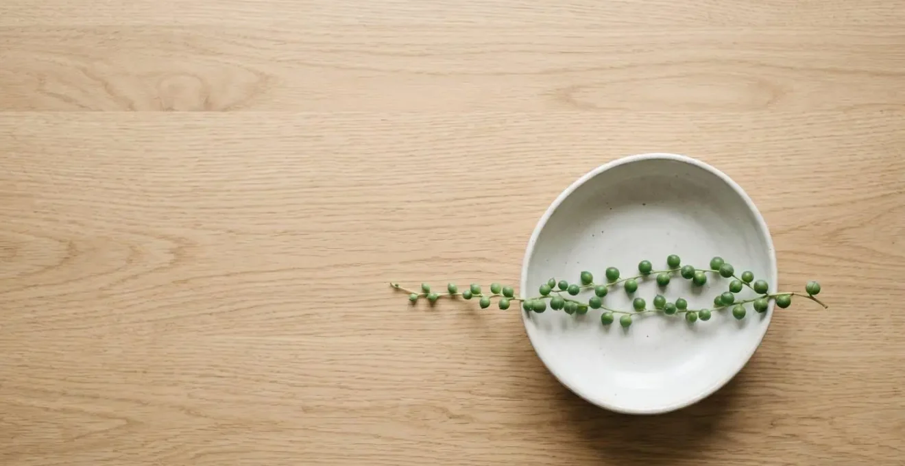 Overhead view of modern coffee table with single trailing botanical element emphasizing clean lines and negative space