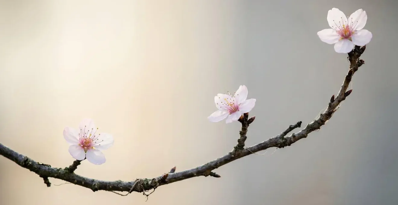Close-up photograph demonstrating the concept of Ma in floral design with intentional empty space between minimal botanical elements