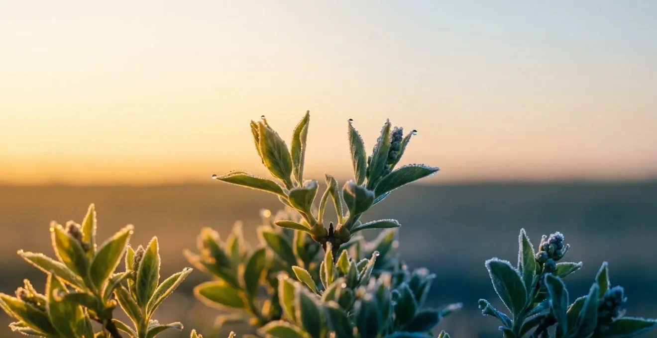 Symbolic composition showing contrast between warm early spring growth and sudden frost threat through dramatic natural lighting